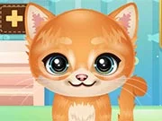 Adopt Your Pet Kitty Clean - game