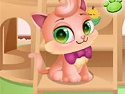 Kitty House Builder Game - game