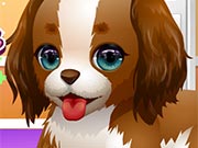 Puppy Whisperer Game - game